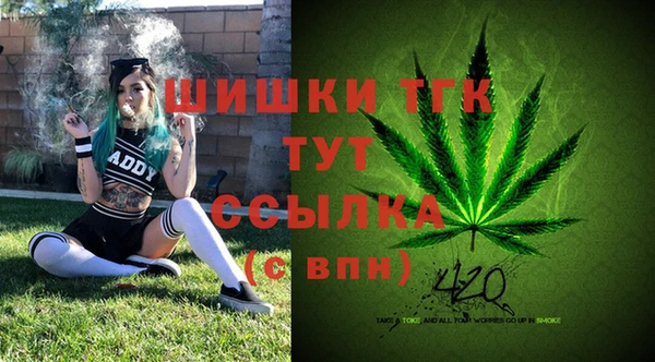 хмурый Надым